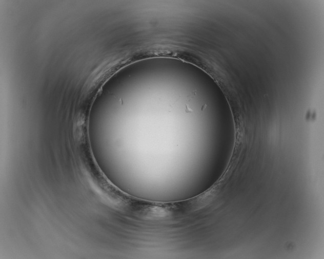 X0000113120166200908281446