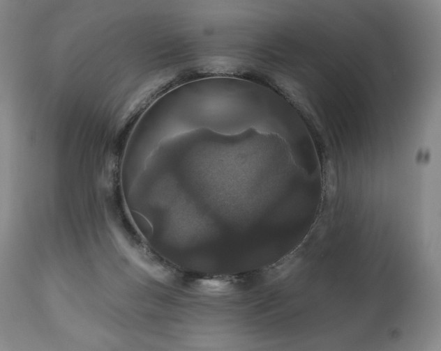 X0000113120167200908281446