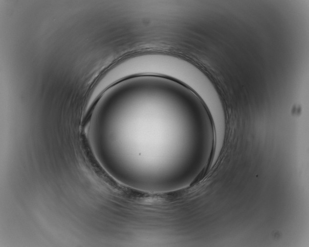 X0000113120168200908281446