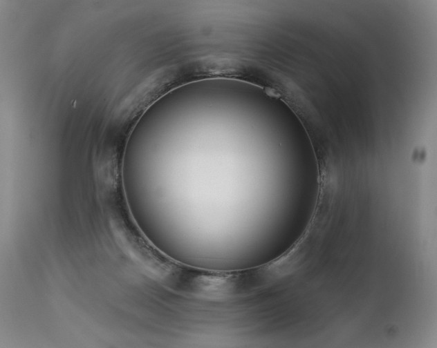 X0000113120170200908281446