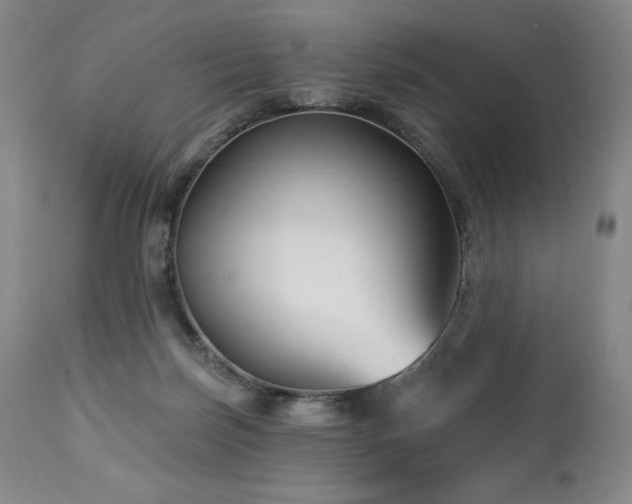 X0000113120171200908281446