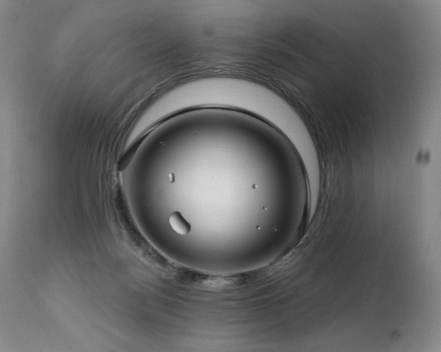 X0000113120172200908281446