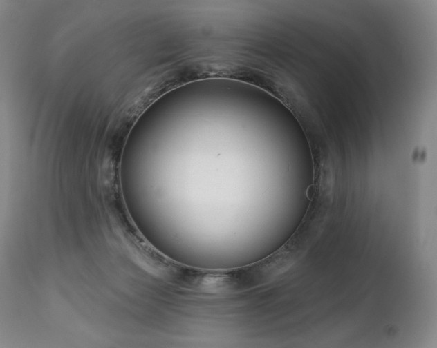 X0000113120173200908281446