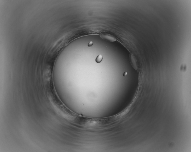 X0000113120174200908281446