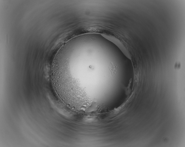 X0000113120175200908281446