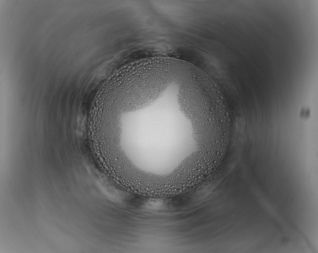 X0000113120177200908281446