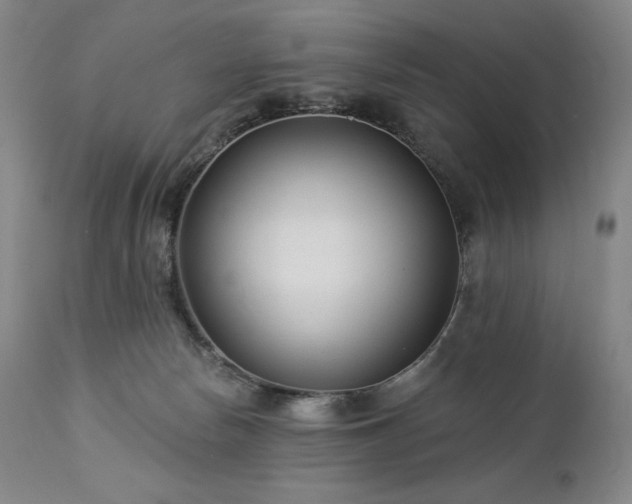 X0000113120178200908281446