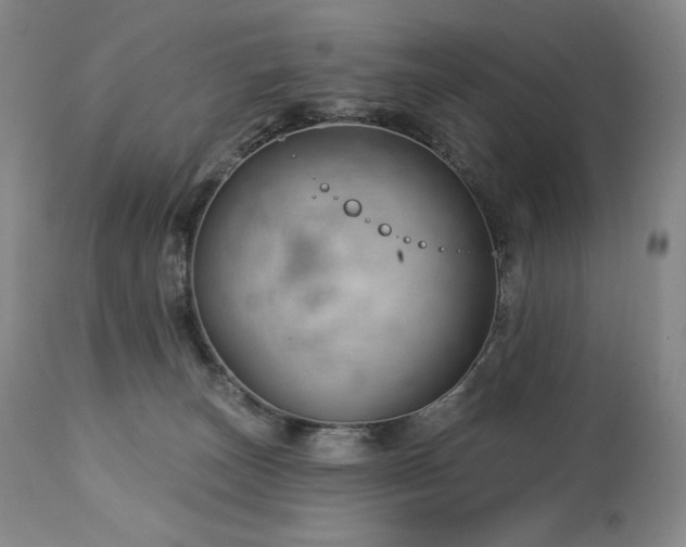 X0000113120179200908281446