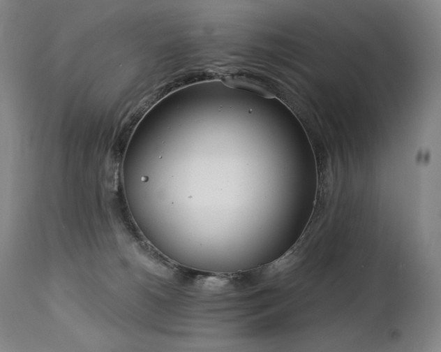 X0000113120180200908281446