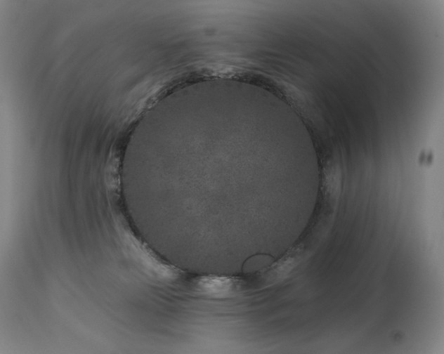 X0000113120181200908281446