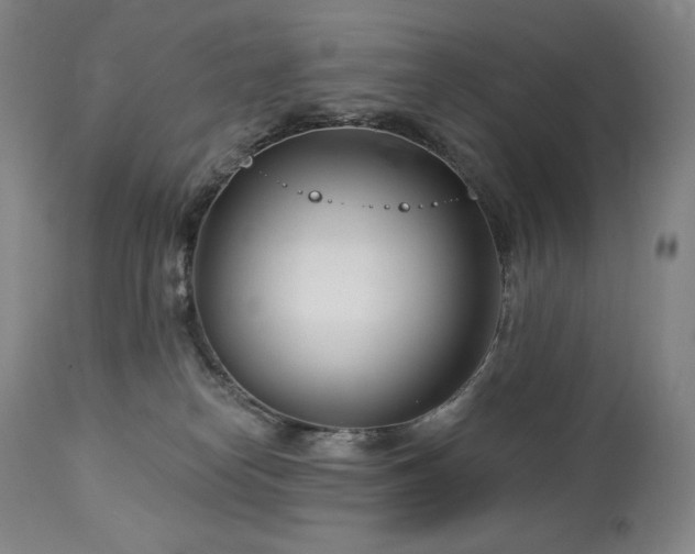 X0000113120182200908281446