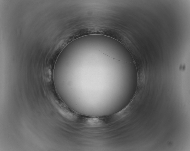 X0000113120183200908281446