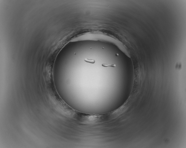 X0000113120184200908281446