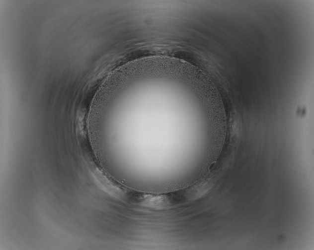 X0000113120185200908281446