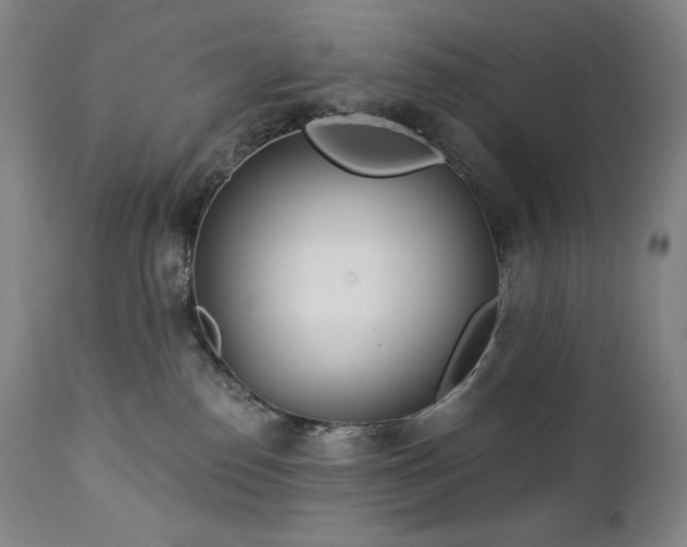 X0000113120186200908281447