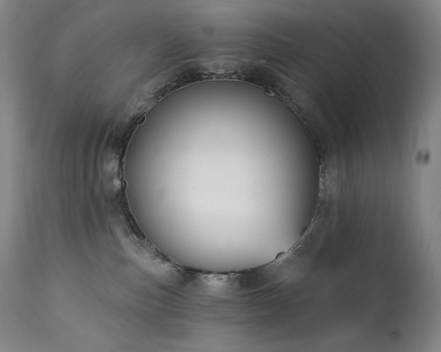 X0000113120187200908281447