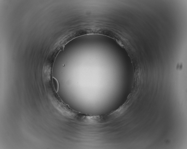 X0000113120188200908281447