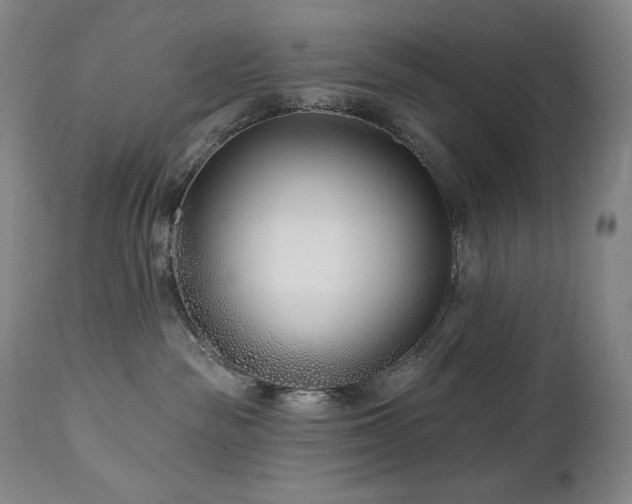 X0000113120189200908281447