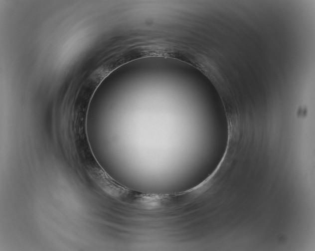 X0000113120190200908281447