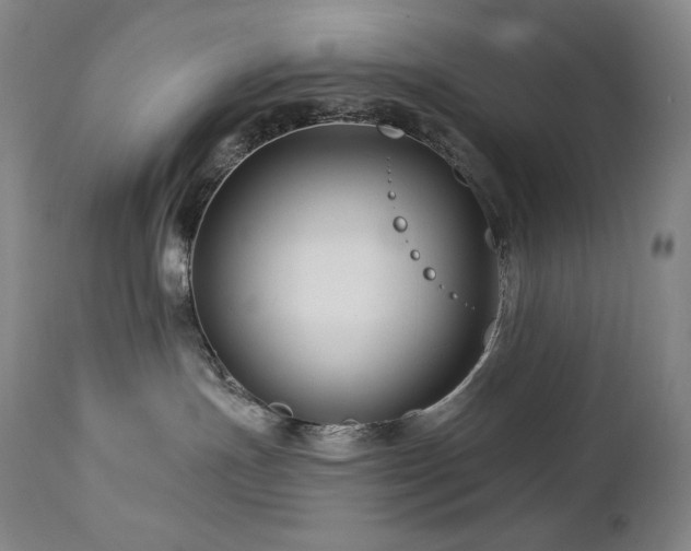 X0000113120191200908281447