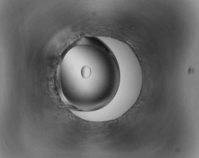 X0000113120192200908281447