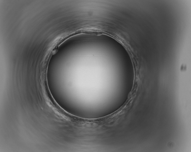 X0000113120193200908281446