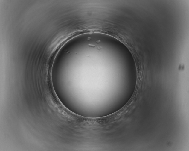 X0000113120194200908281446