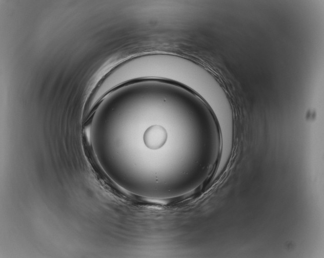 X0000113120195200908281446