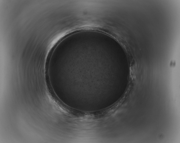 X0000113120196200908281446