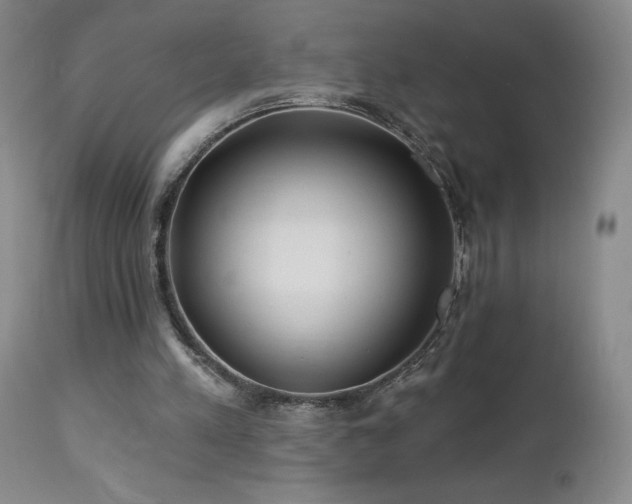 X0000113120197200908281446