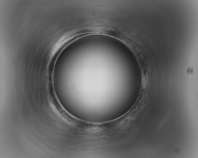 X0000113120198200908281446