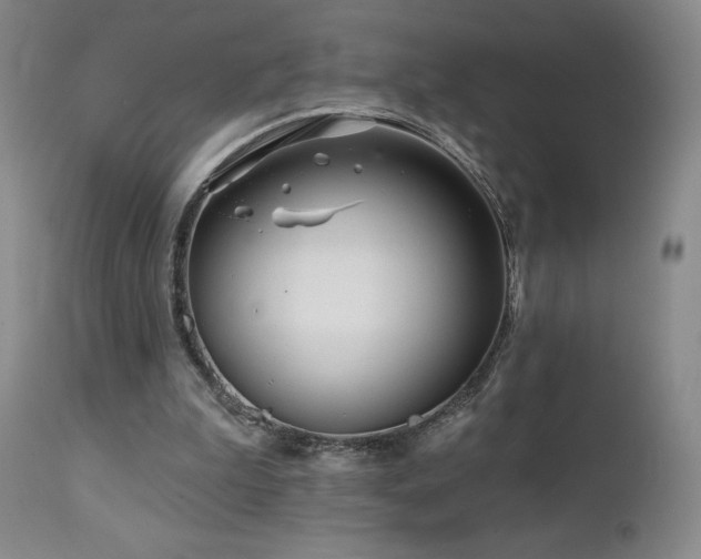 X0000113120199200908281446