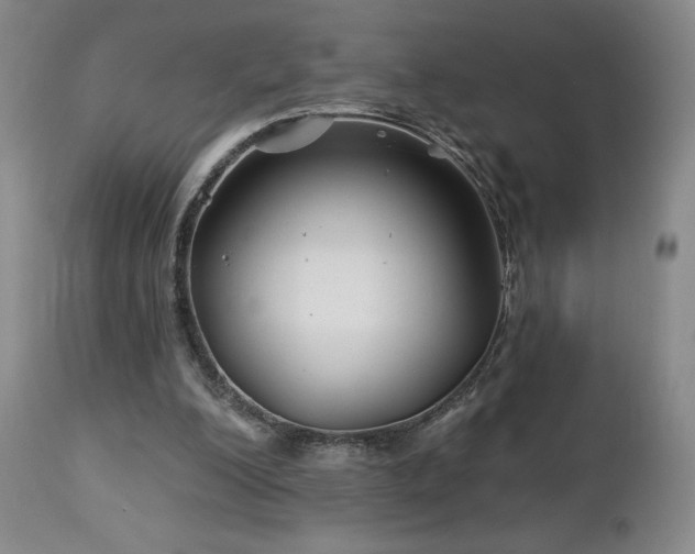 X0000113120200200908281445