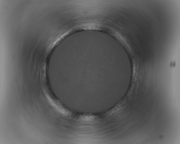 X0000113120202200908281445