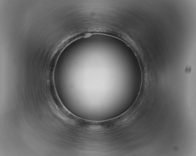 X0000113120203200908281445