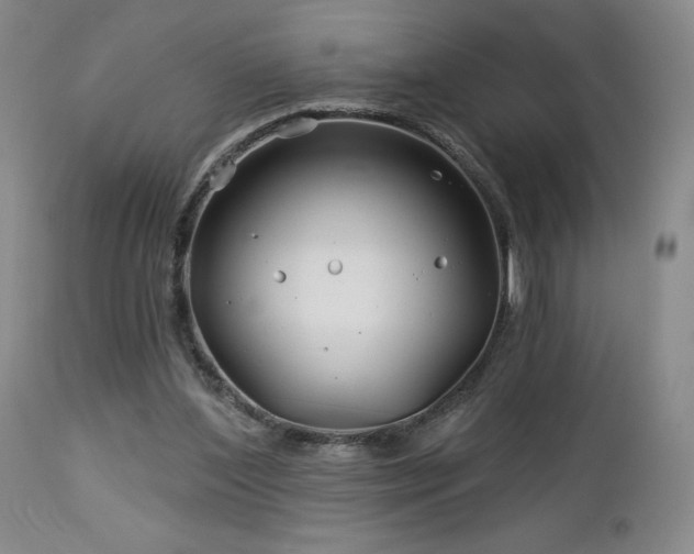 X0000113120204200908281445