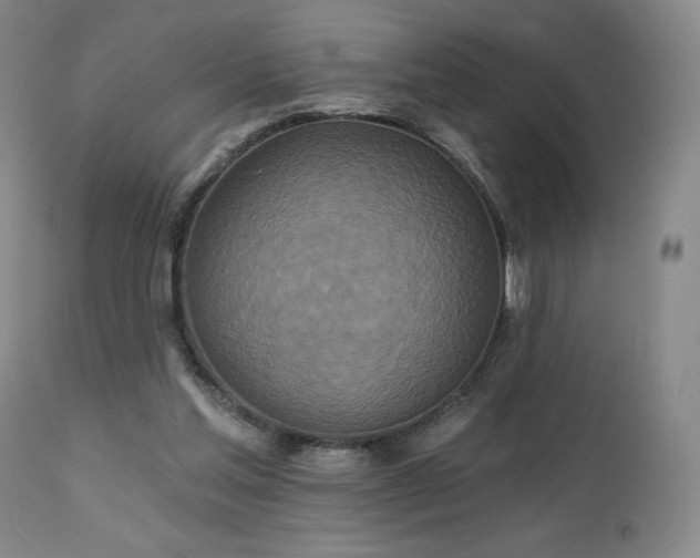 X0000113120205200908281445