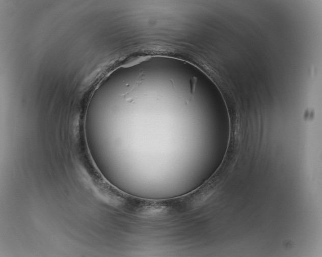 X0000113120206200908281445