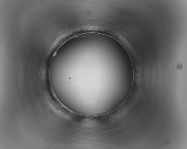 X0000113120207200908281445