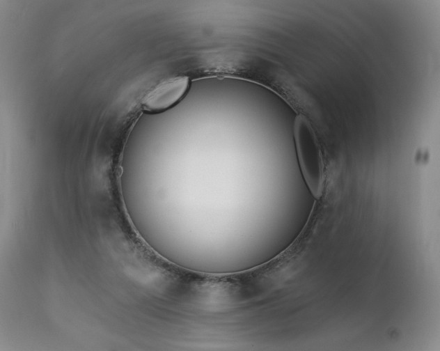 X0000113120209200908281445