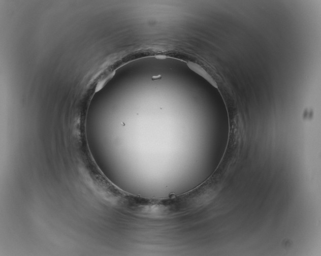 X0000113120212200908281445