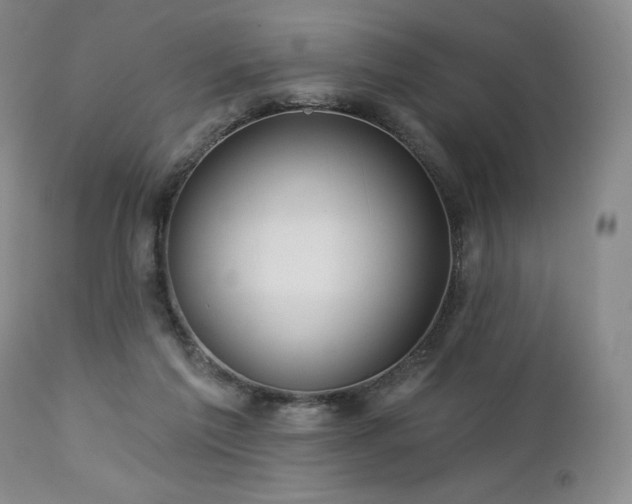 X0000113120213200908281445