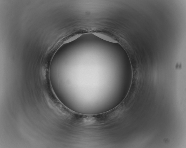 X0000113120214200908281445