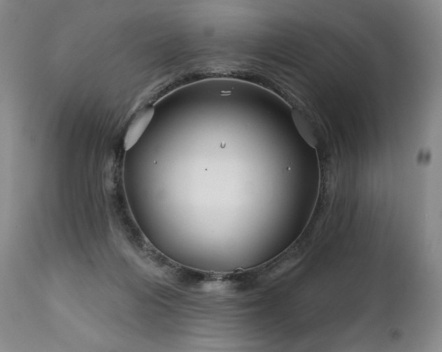 X0000113120216200908281445