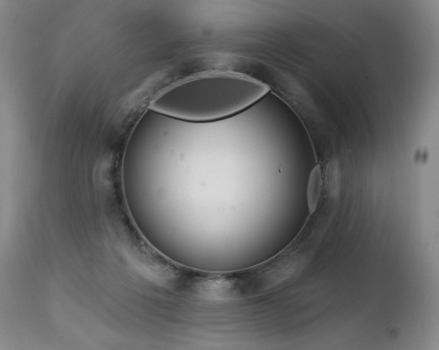 X0000113120217200908281445