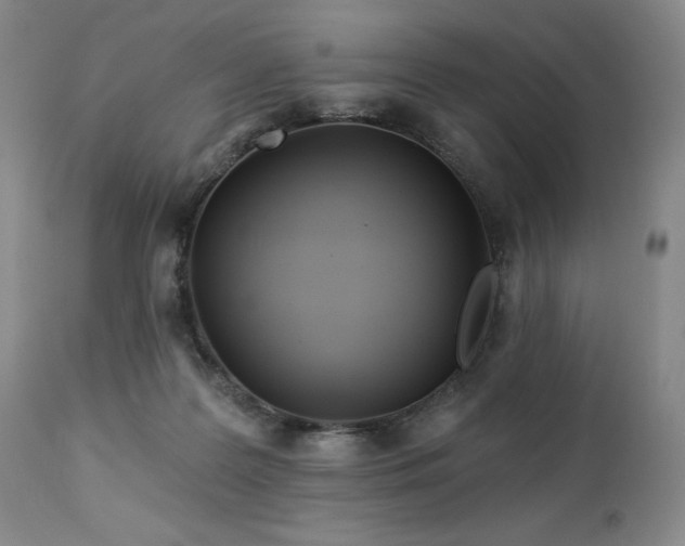 X0000113120219200908281445