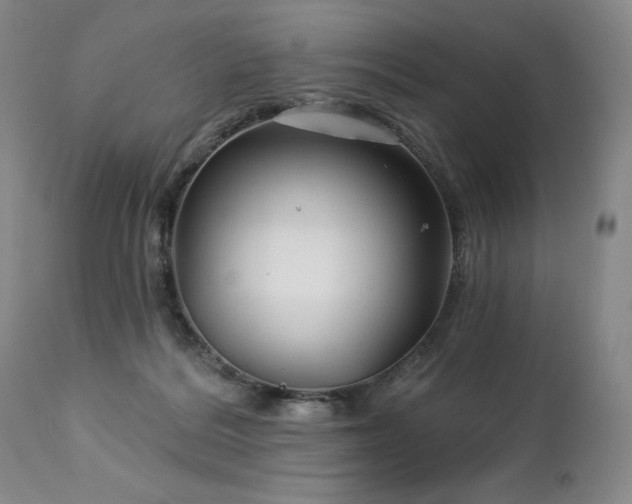 X0000113120220200908281445