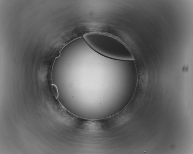 X0000113120221200908281445