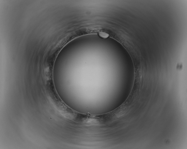 X0000113120224200908281445