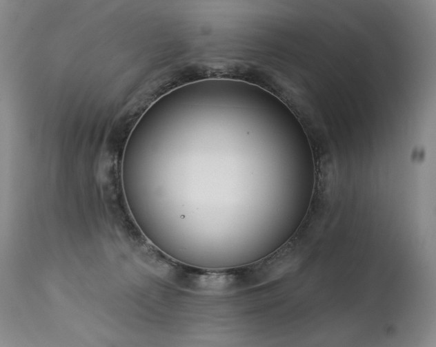 X0000113120225200908281445